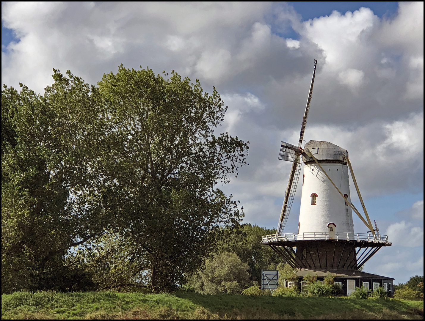 Windmühle von Veere