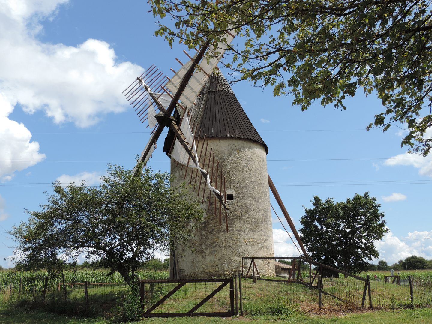 Windmühle von Vensac