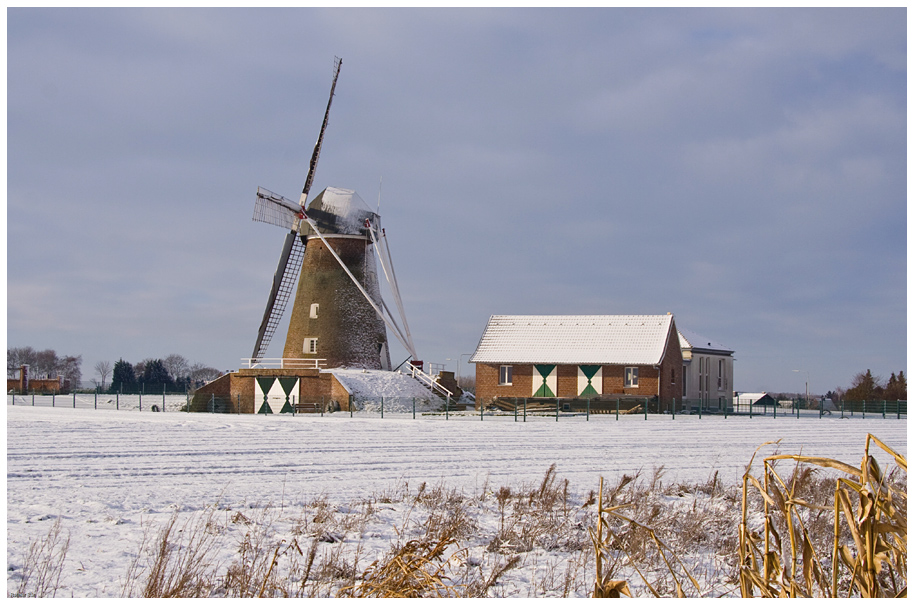 Windmühle Waldfeucht-Haaren im Schnee