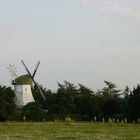 Windmühle Wallhöfen