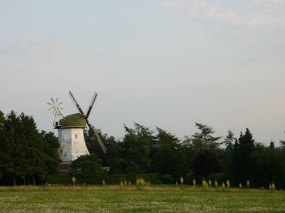 Windmühle Wallhöfen