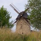 Windmühle Warnstedt