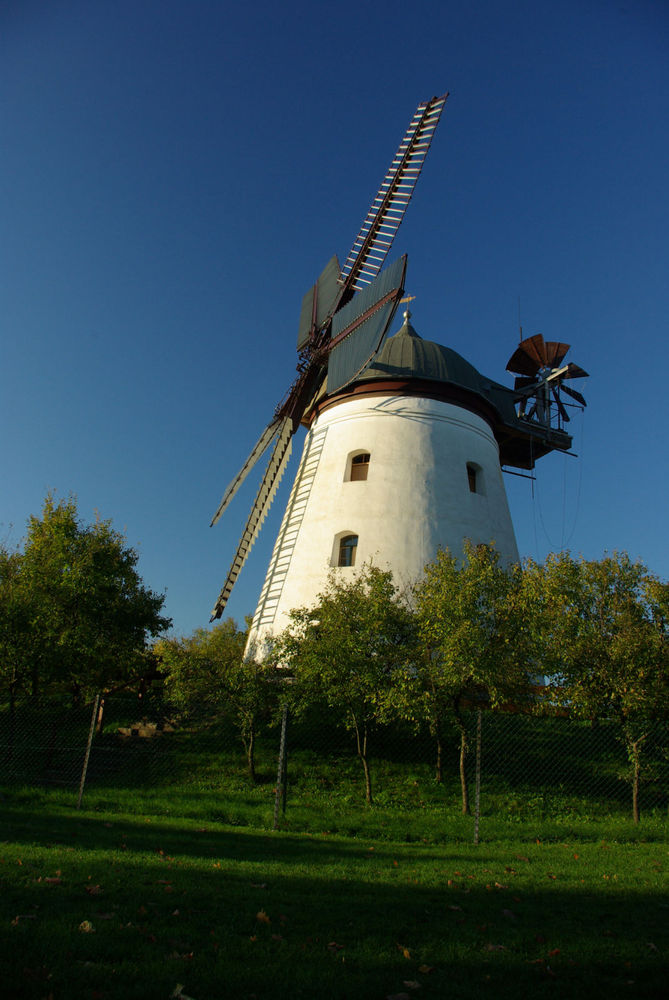 Windmühle Wendhausen