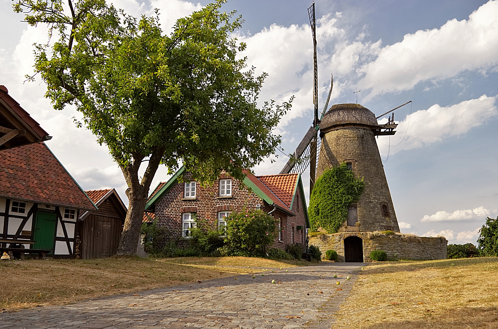 Windmühle Westhoyel