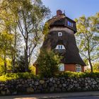 Windmühle Wustrow