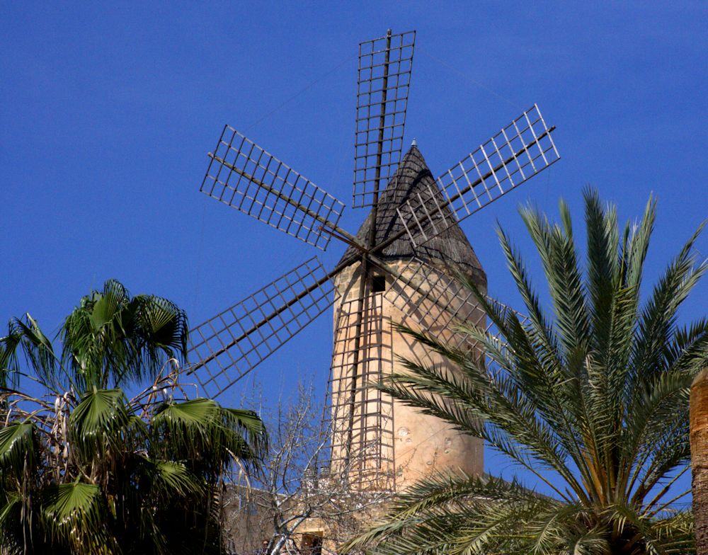 Windmühle zwischen Palmen