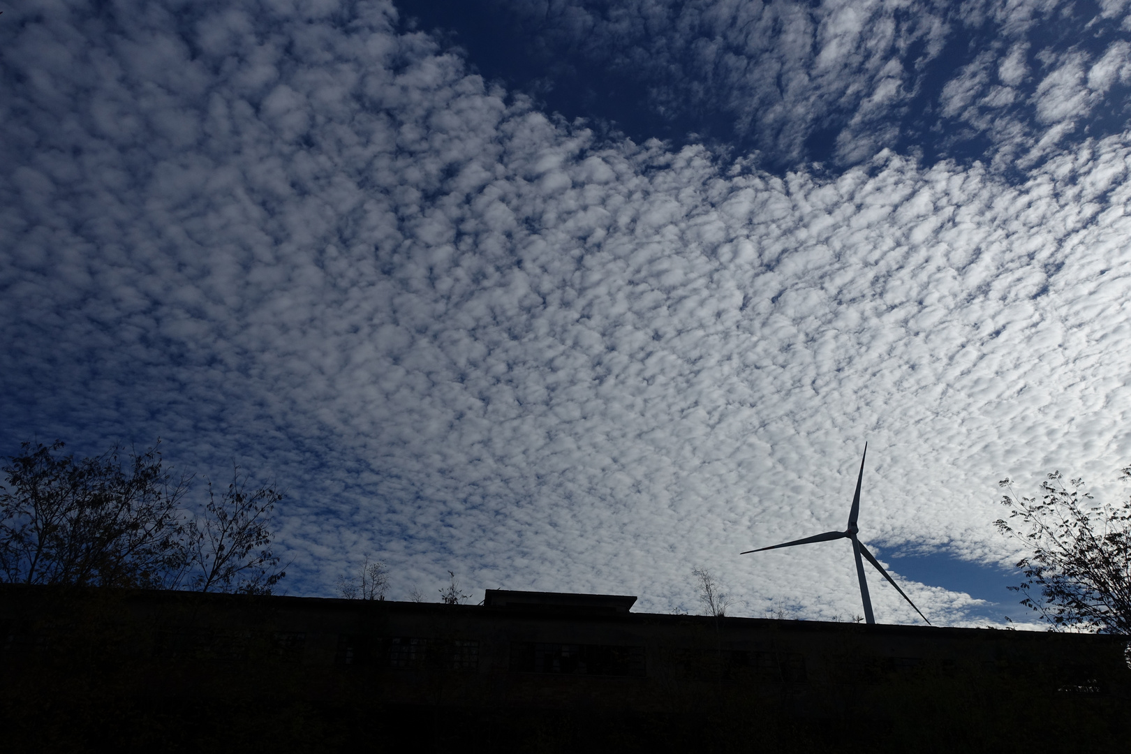 Windmühlen