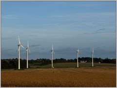 Windmühlen