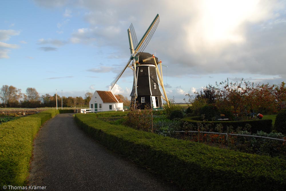 Windmühlen