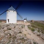 Windmühlen