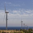 Windmühlen auf Lanzarote