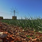 Windmühlen auf Mallorca