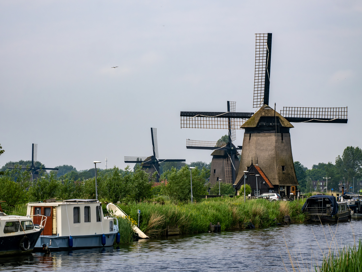 Windmühlen bei Alkkmaar