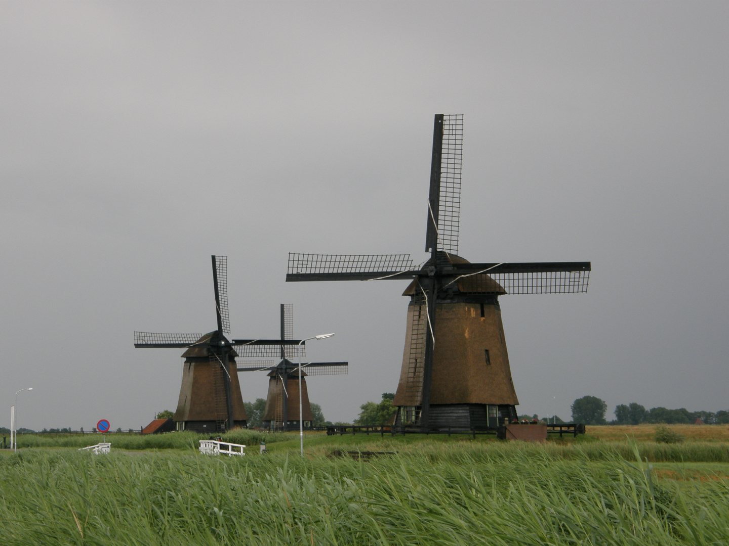 Windmühlen bei Alkmaar