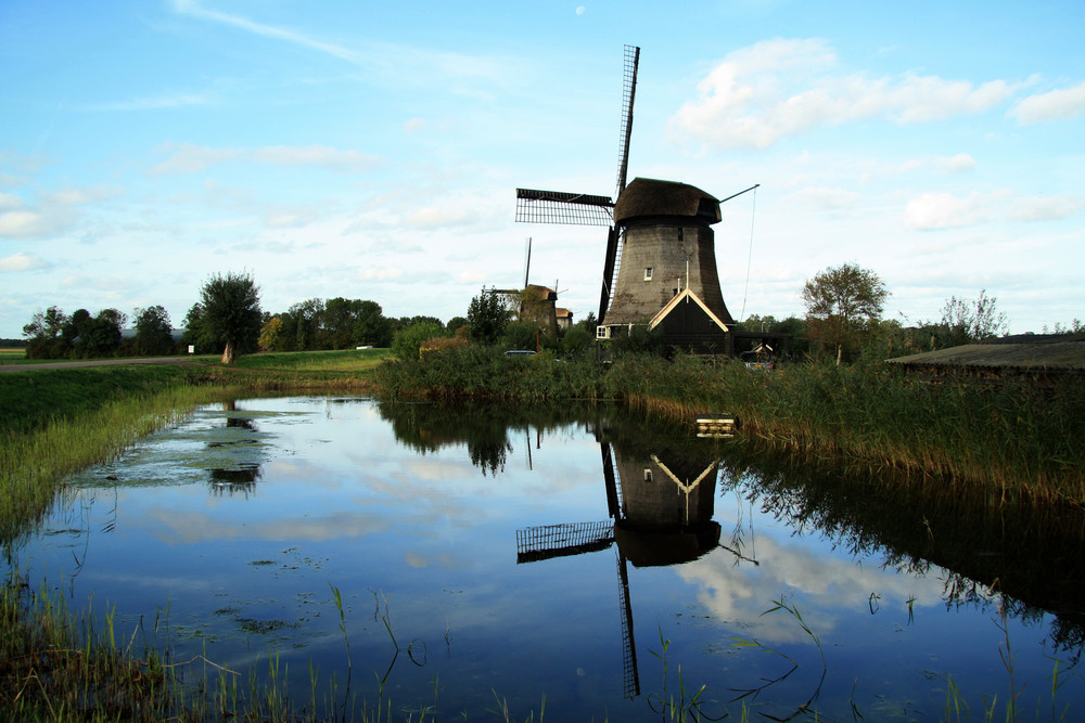 Windmühlen bei Rustenburg / Nordholland / Niederlande