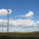 Windmühlen I