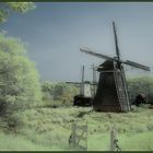 Windmühlen-Idyll