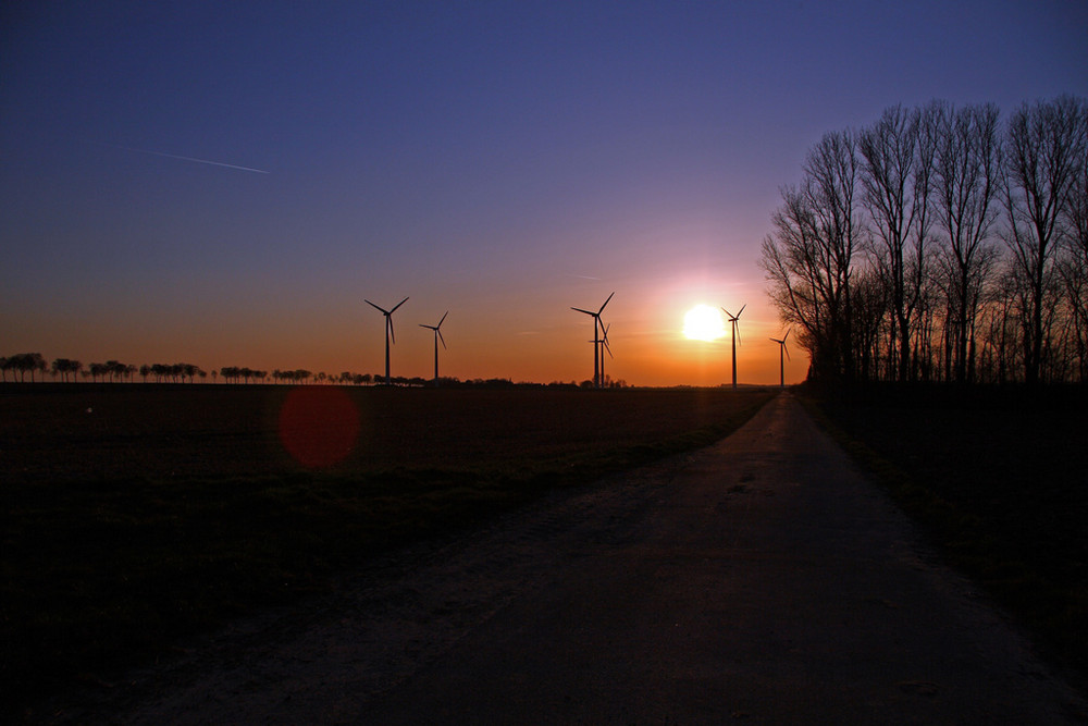 Windmühlen im Abendlicht