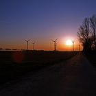 Windmühlen im Abendlicht