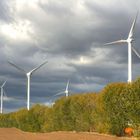 Windmühlen im Herbst...