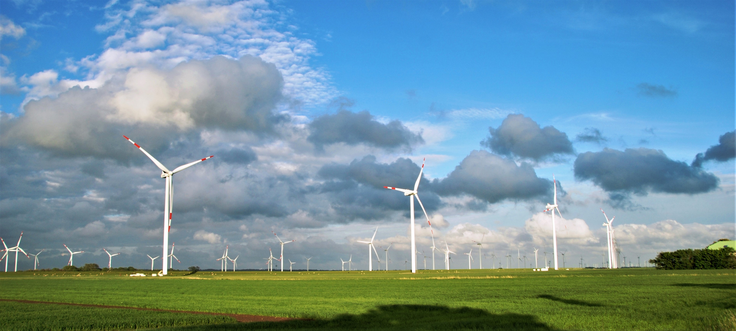 Windmühlen im Koog