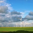 Windmühlen im Koog