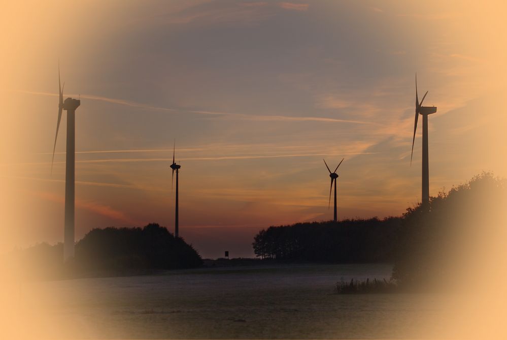 Windmühlen im Morgenlicht an der Fuchskaute