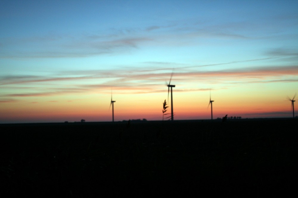 Windmühlen im Sonneuntergang