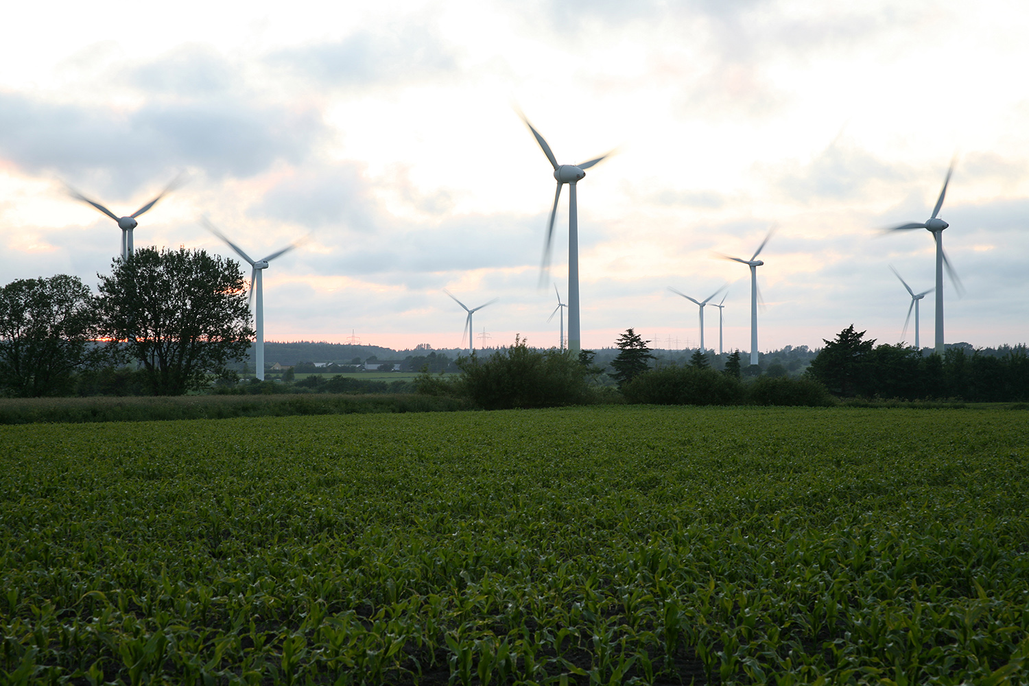 Windmühlen in Betrieb