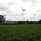 Windmühlen in Betrieb