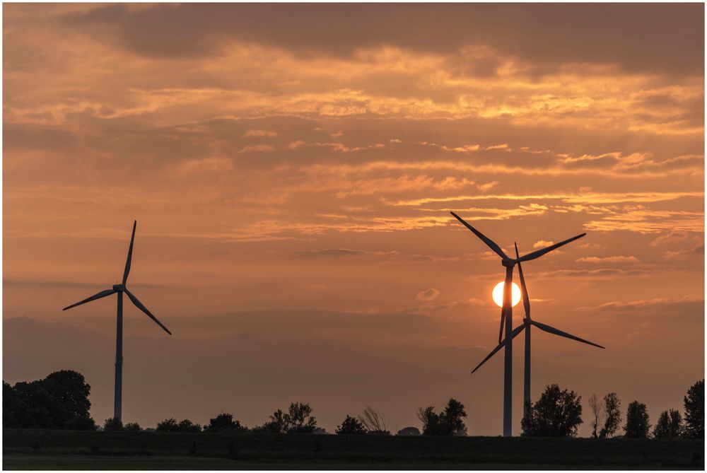 Windmühlen in der Sonne