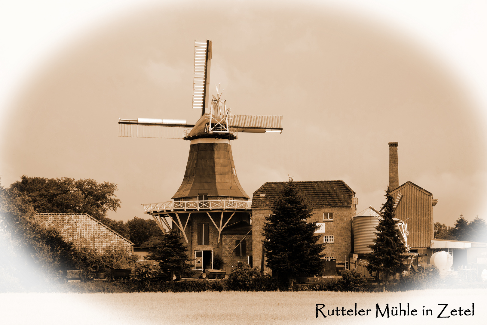 Windmühlen in Friesland (1)