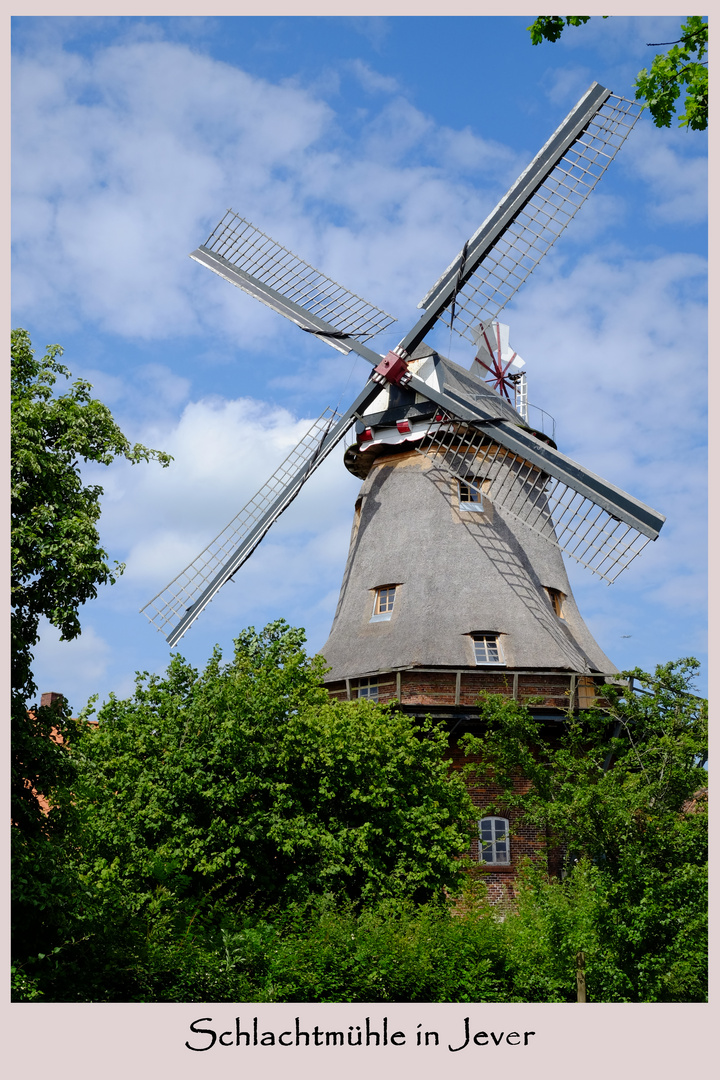 Windmühlen in Friesland (2)