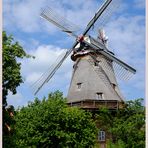 Windmühlen in Friesland (2)
