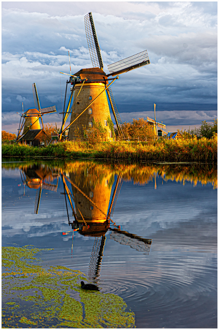 Windmühlen in Kinderdijk !