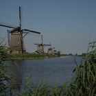 Windmühlen in Kinderdijk