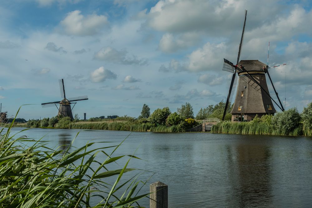 Windmühlen in Kinderdijk