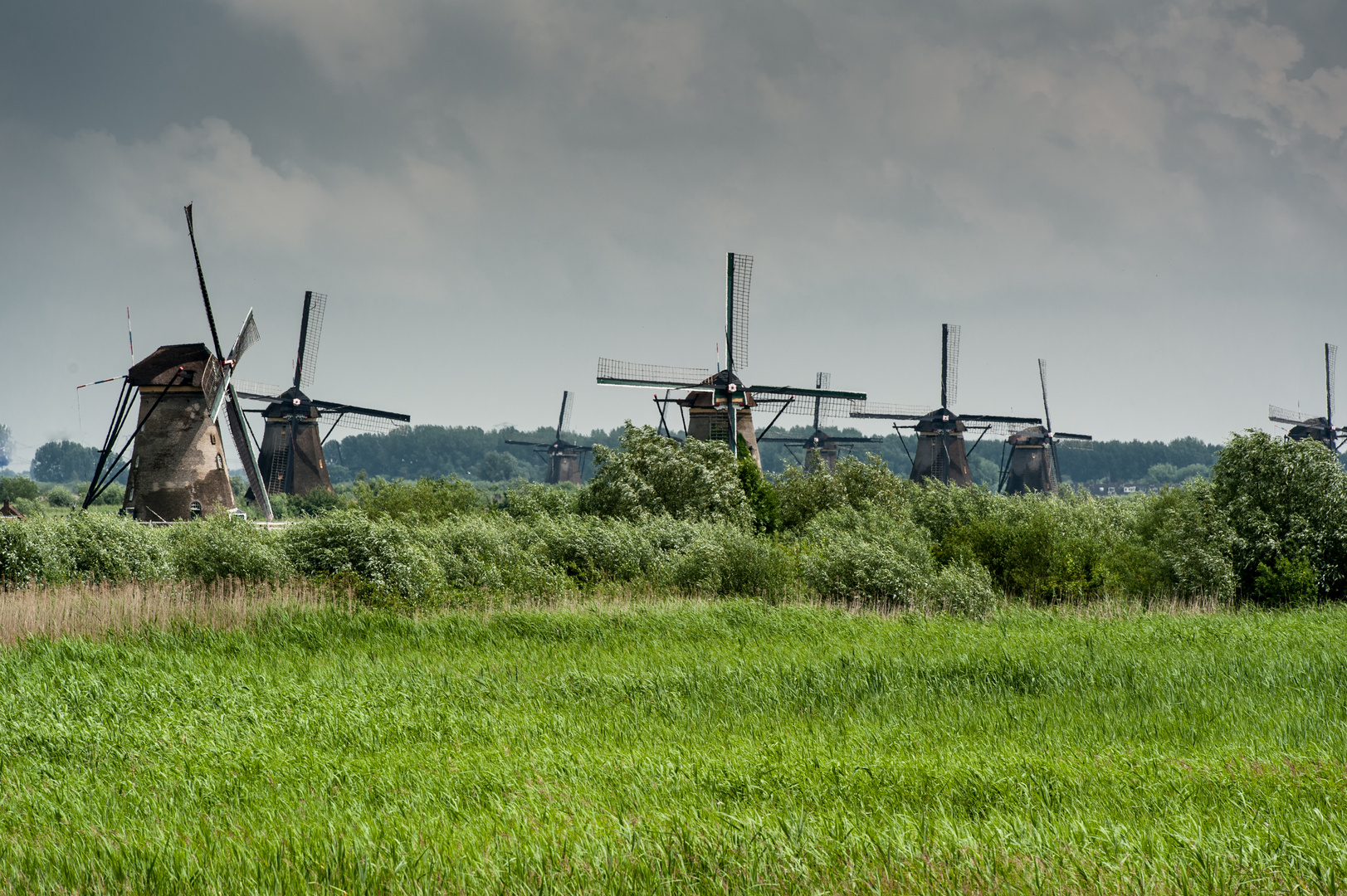 Windmühlen in Kinderdijk