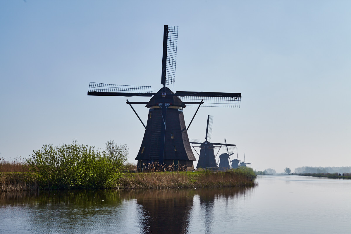 Windmühlen in Kinderdijk (Südholland, Niederlande) im Gegenlicht