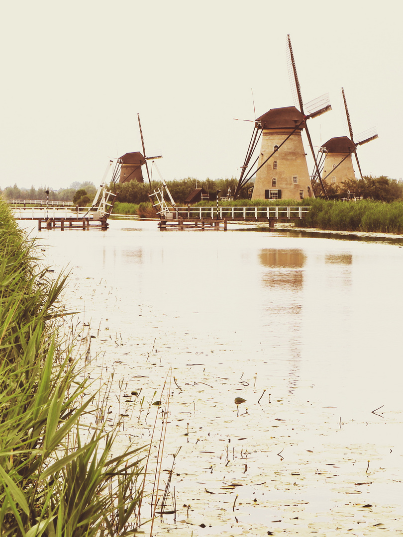Windmühlen in Kinderdijk/NL