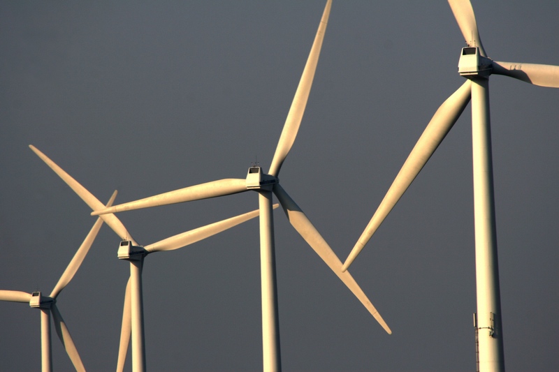 Windmühlen in Noord Holland