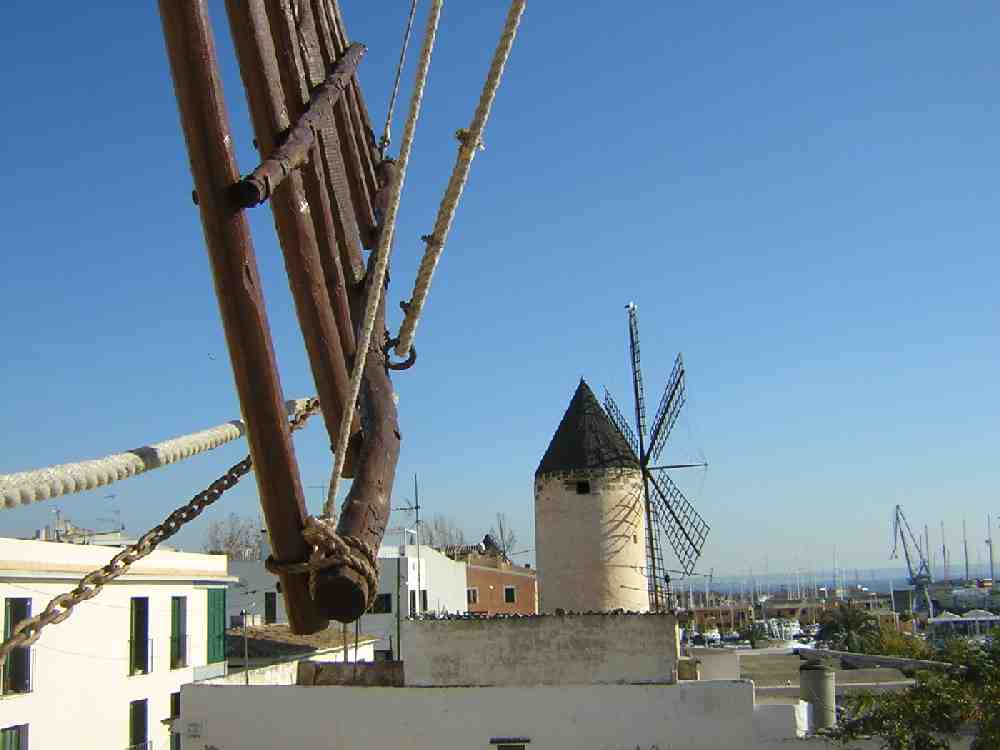 Windmühlen in Palma