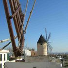 Windmühlen in Palma