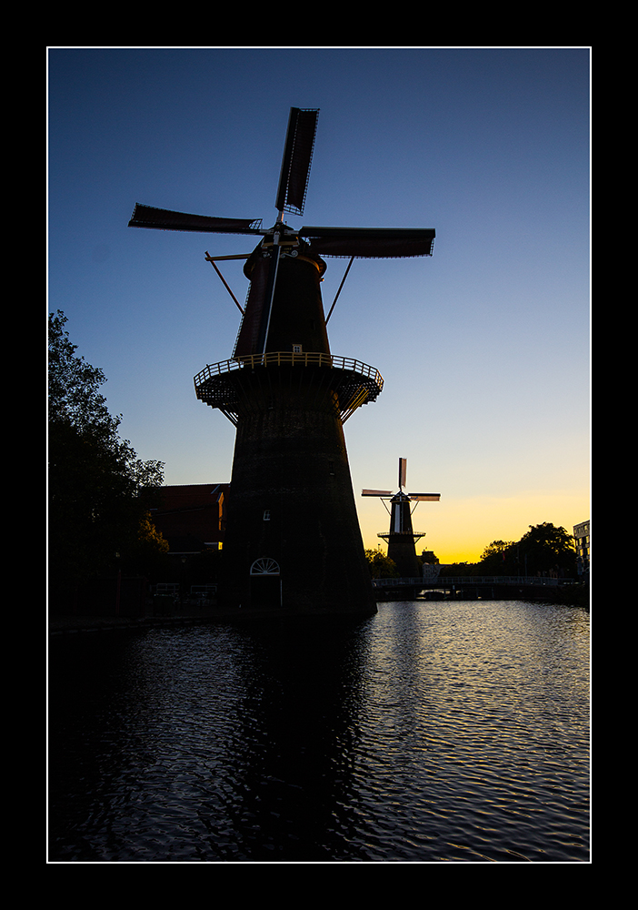 Windmühlen in Rotterdam