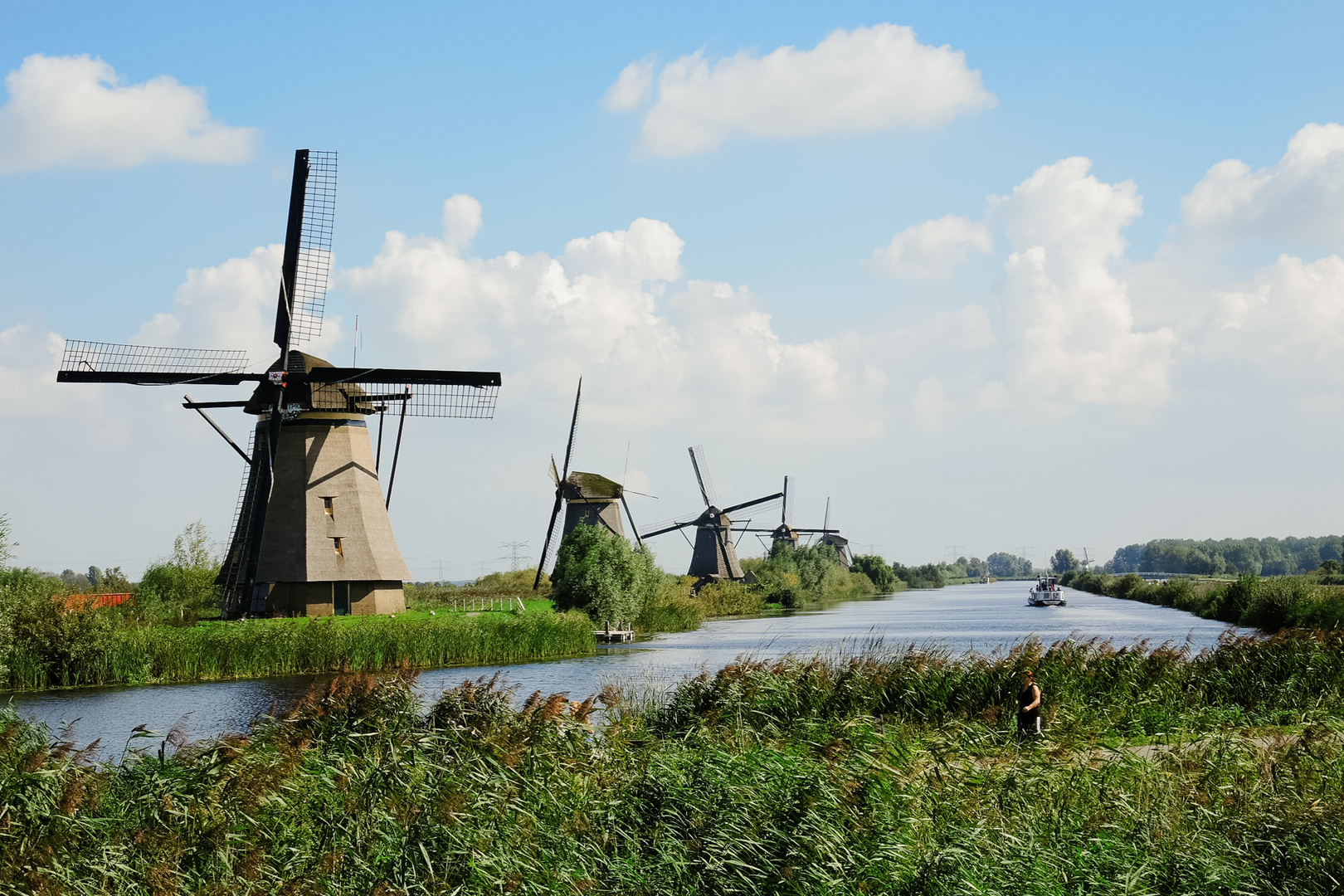 Windmühlen Kinderdijk 1 2014