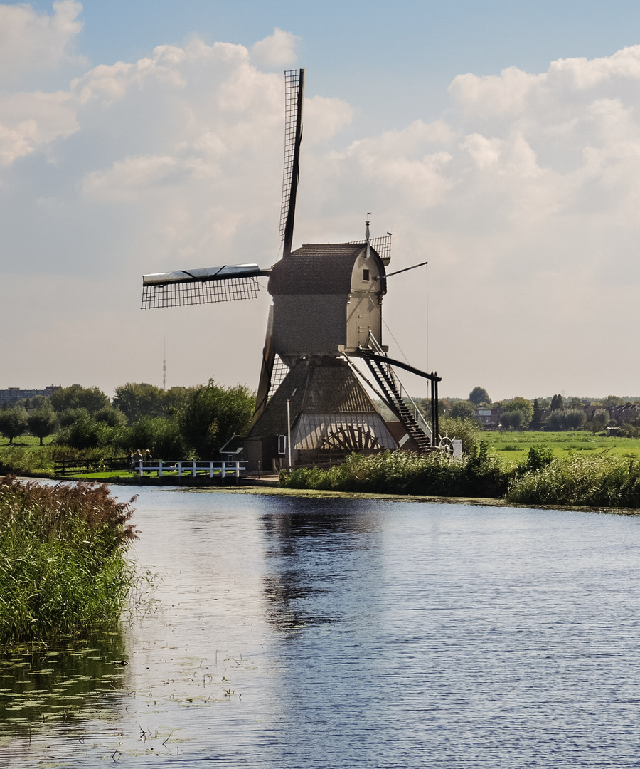 Windmühlen Kinderdijk 4 2014