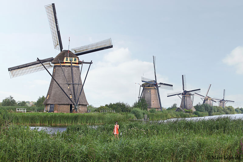 Windmühlen, Kinderdijk, Niederlande.