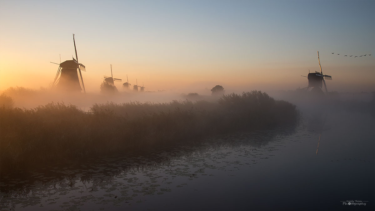 Windmühlen, Kinderdijk, Sonnenaufgang # 3