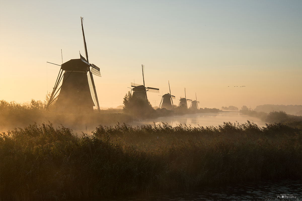 Windmühlen, Kinderdijk, Sonnenaufgang