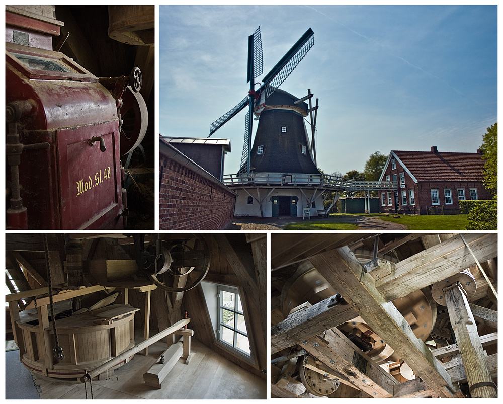 windmühlen-portrait